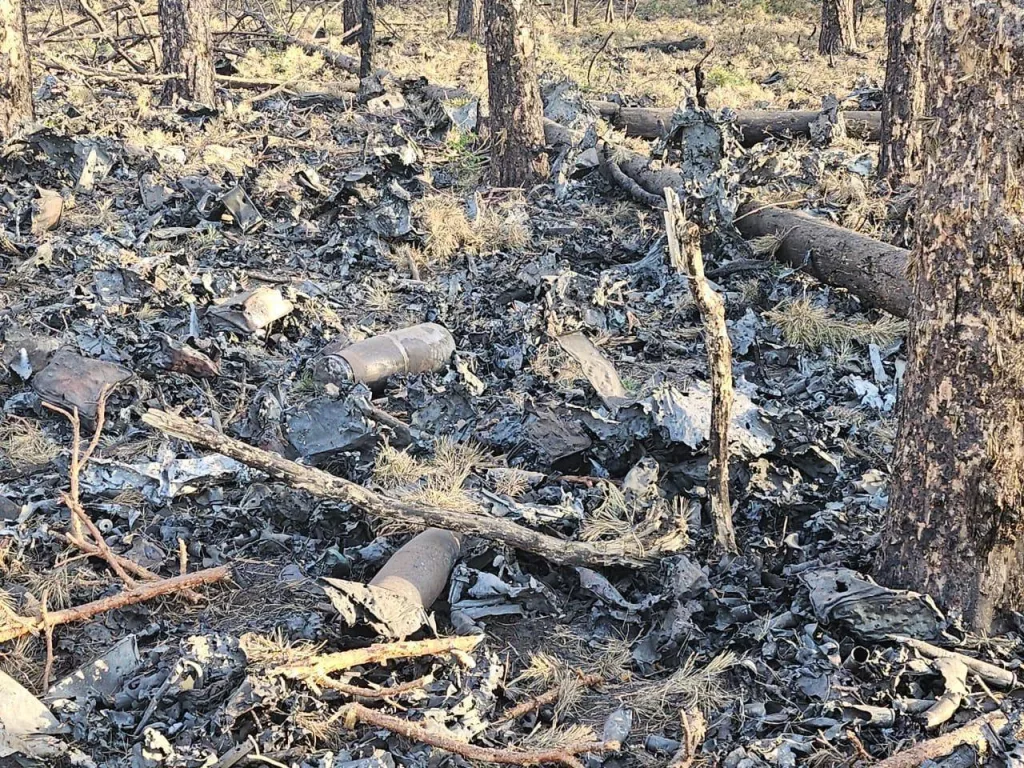 Неразорвавшиеся боеприпасы в лесу Острогожского района Воронежской области после ударов ВСУ по "складу взрывоопасных предметов"