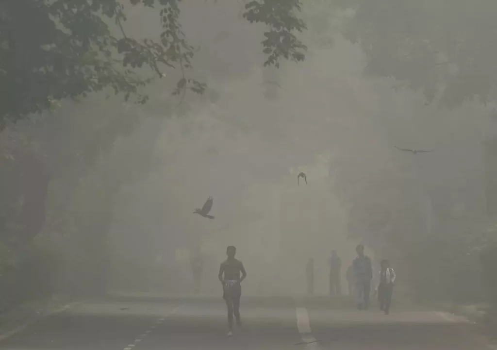 Загрязнение воздуха столицы Индии Нью-Дели достигло критического уровня