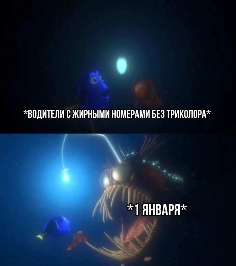 Водители-нитакусики, вам осталось 3 дня — с 1 января вас будут штрафовать за номера без триколора и жирный шрифт. В том числе с помощью камер