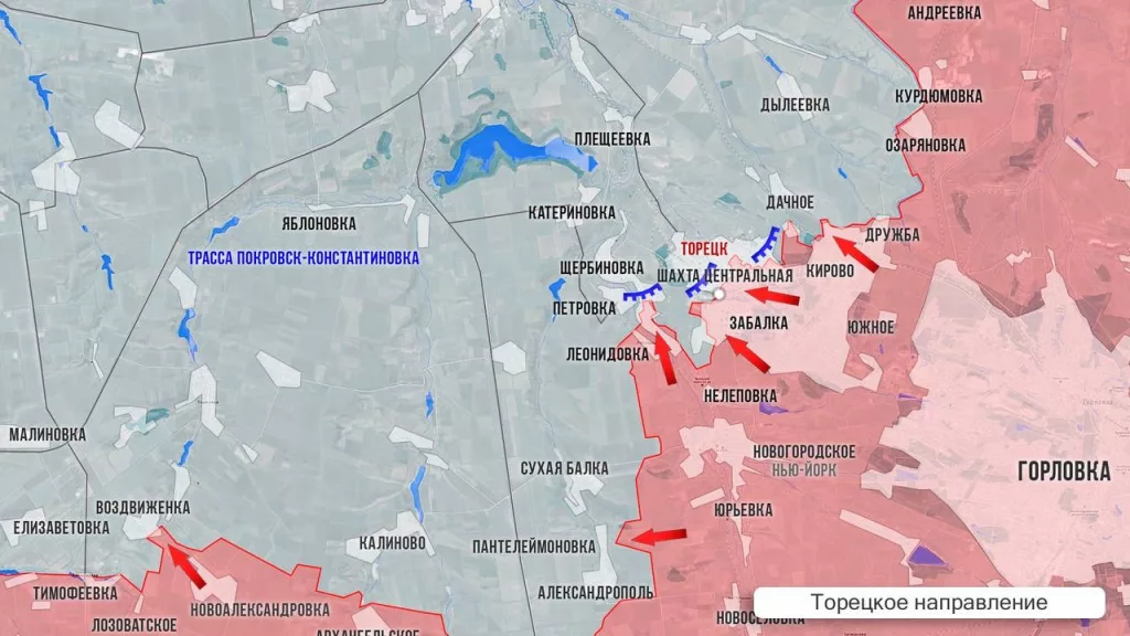 Царев: Фронтовая сводка 9 декабря 2024 года