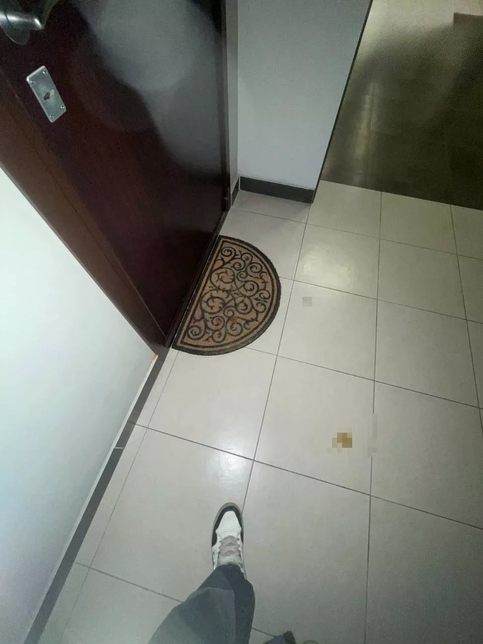 Подросток за вознаграждение 500$ нагадил под дверь Екатерины Мизулиной. Парня задержали