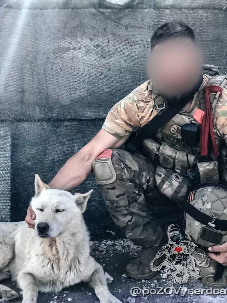 Будни войны