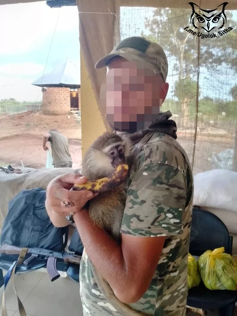 Однажды в Африке