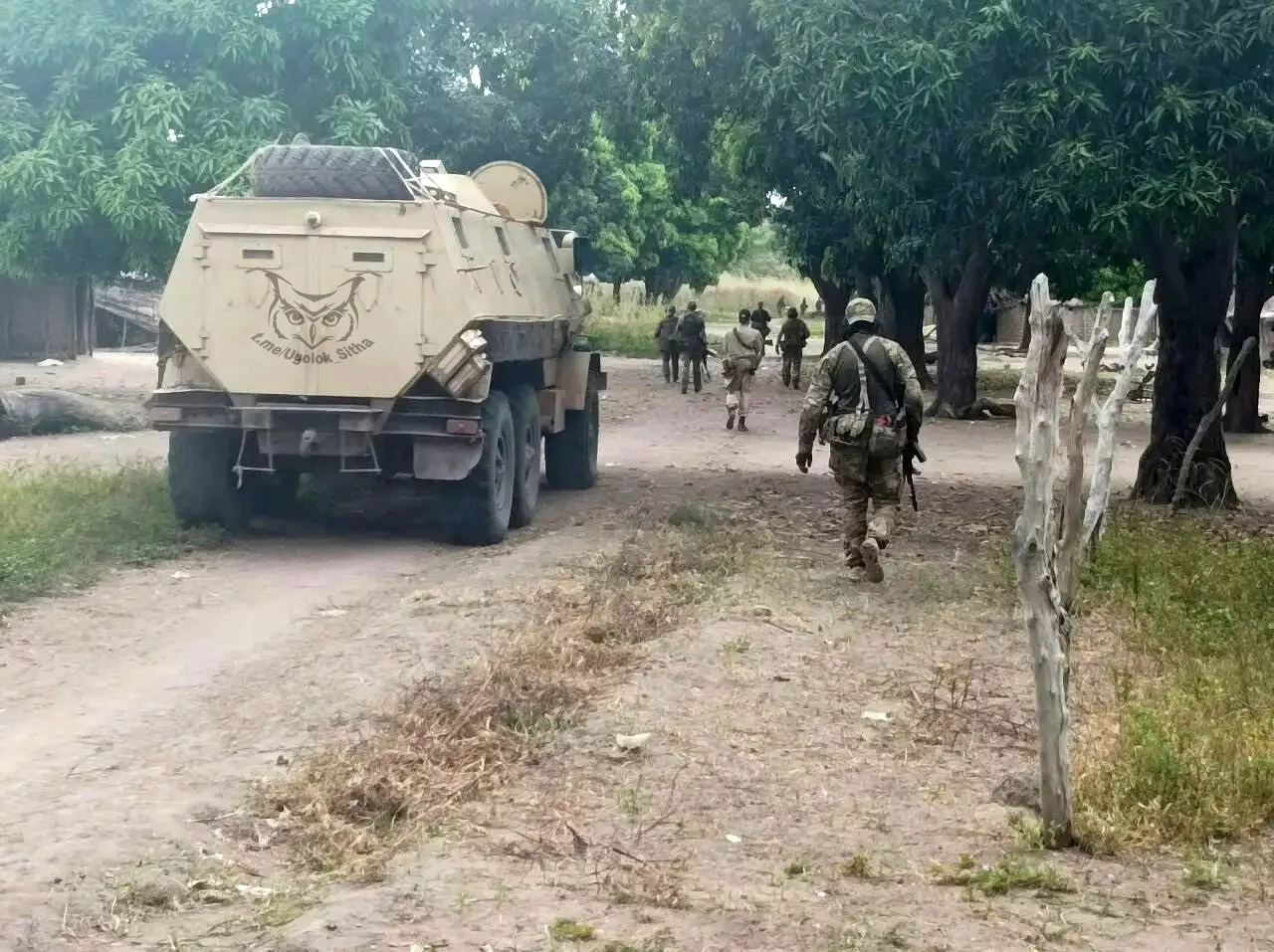 Однажды в Африке