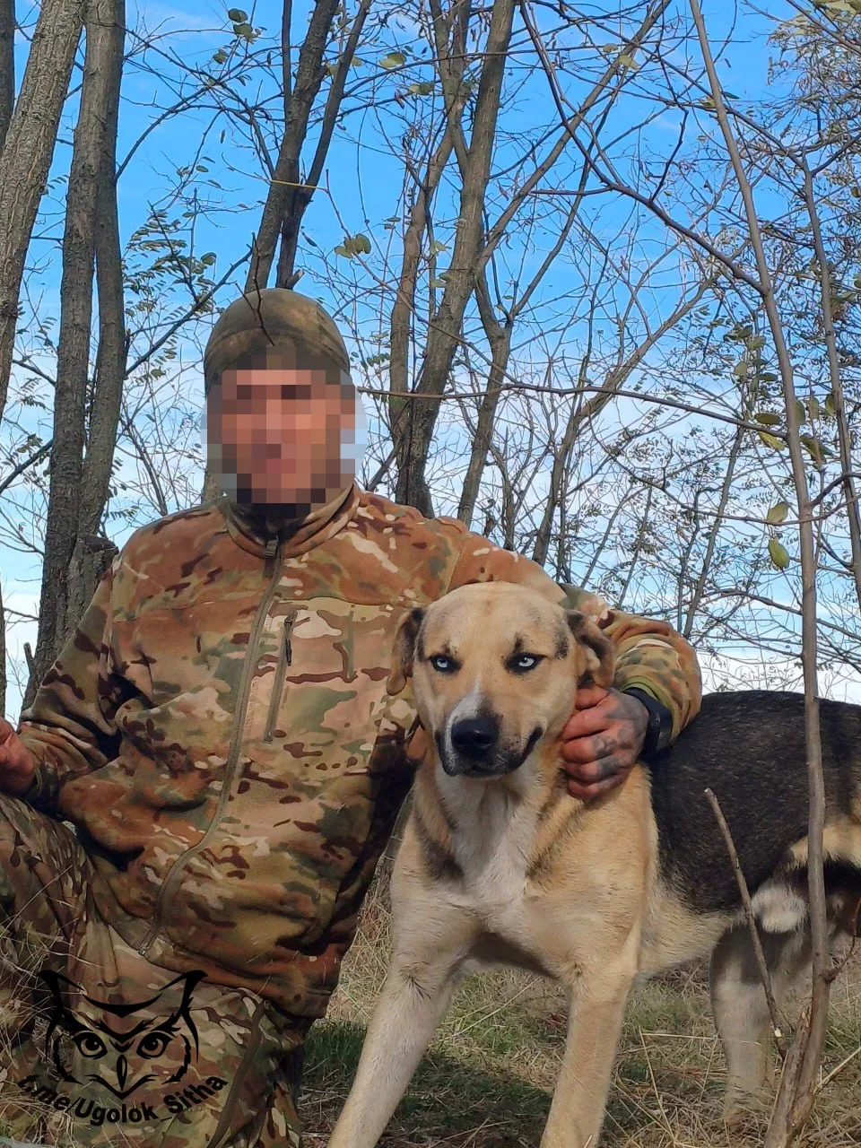 Фронтовые питомцы