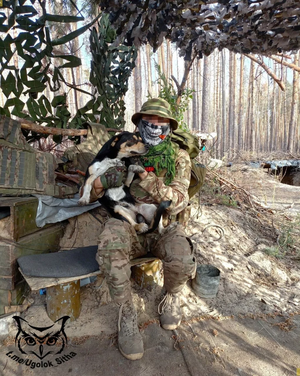 Фронтовые питомцы