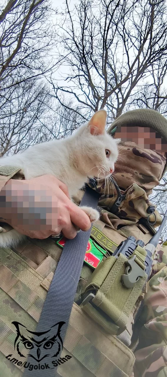 Фронтовые питомцы