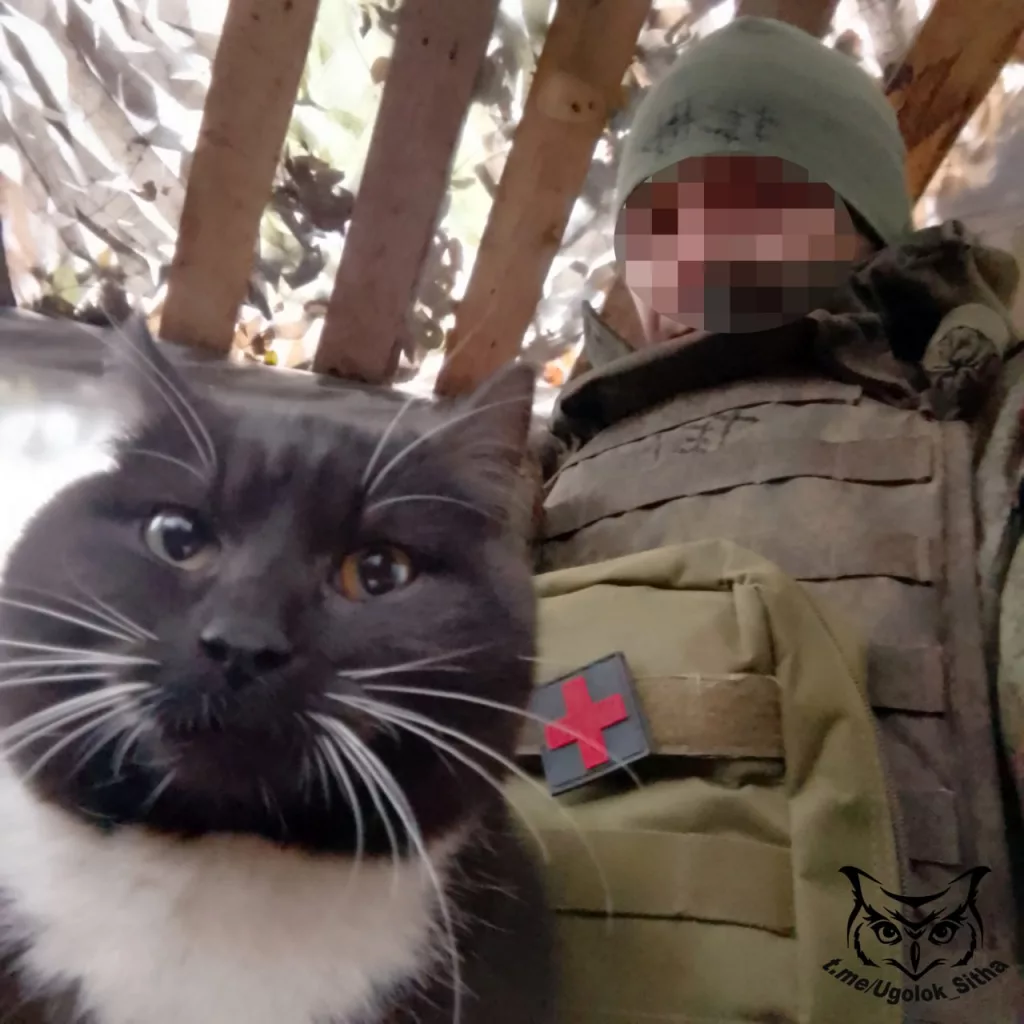 Фронтовые питомцы