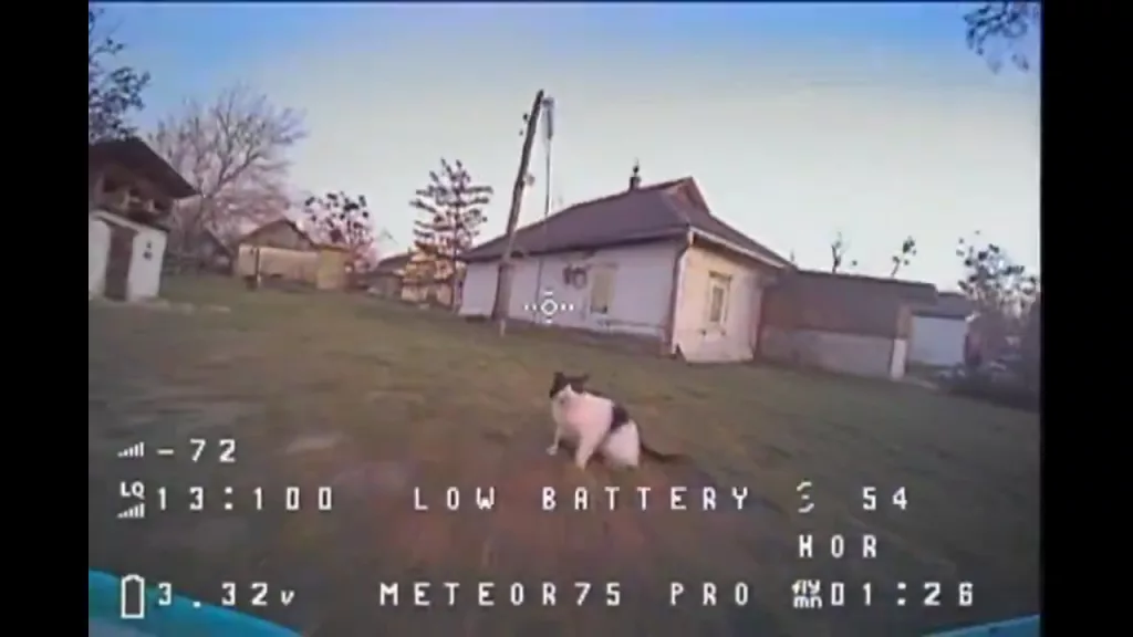 Антидроновый кот перехватил украинский FPV-дрон во время тренировок его оператора во дворе дома