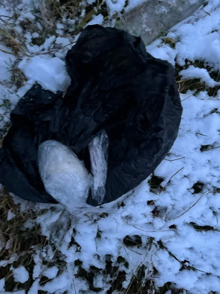 В Новороссийске задержали 34-летнего предателя, готовившего теракт по наводке спецслужб Украины