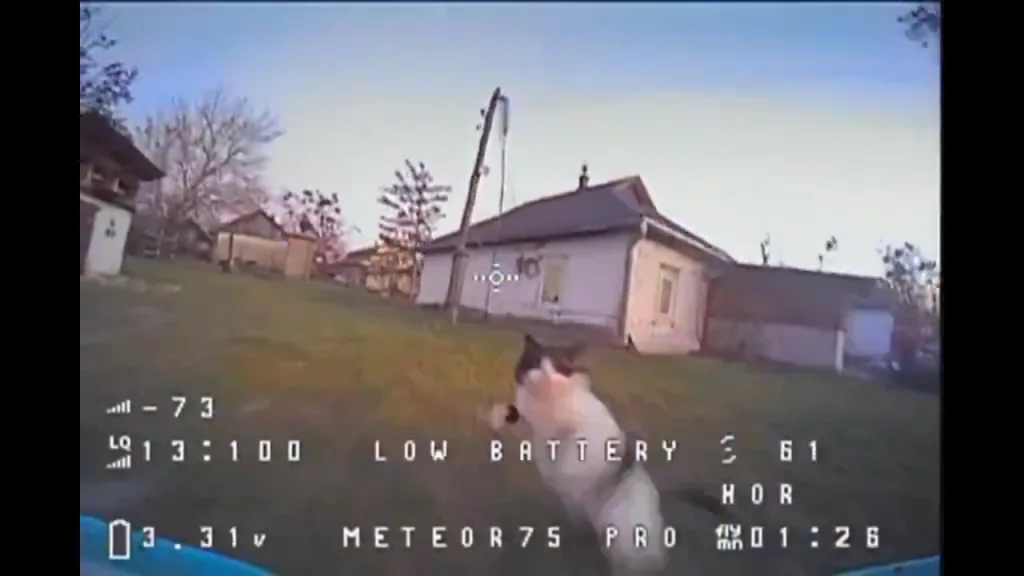 Антидроновый кот перехватил украинский FPV-дрон во время тренировок его оператора во дворе дома