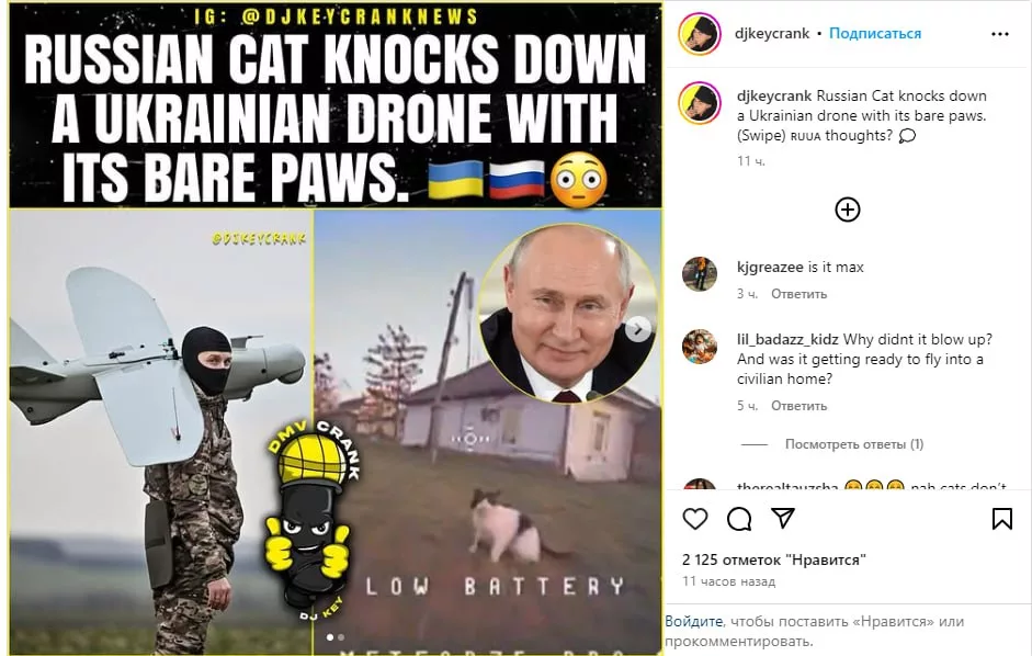 Кот-антидронщик из ДНР стал мировой знаменитостью