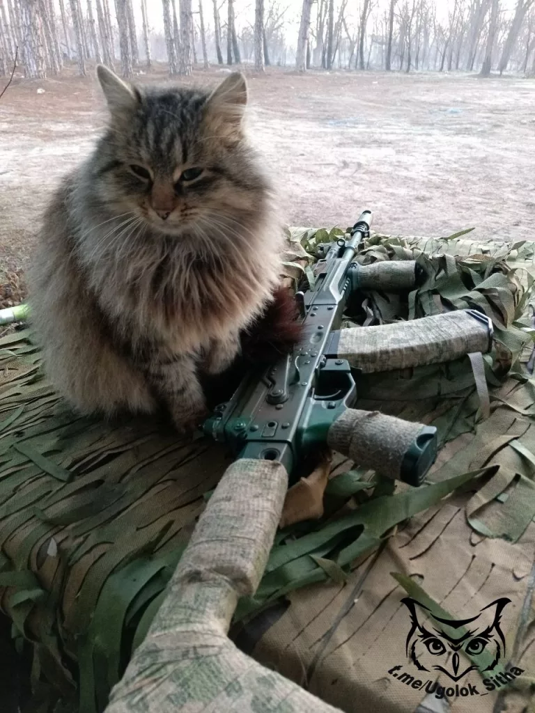 Фронтовые питомцы