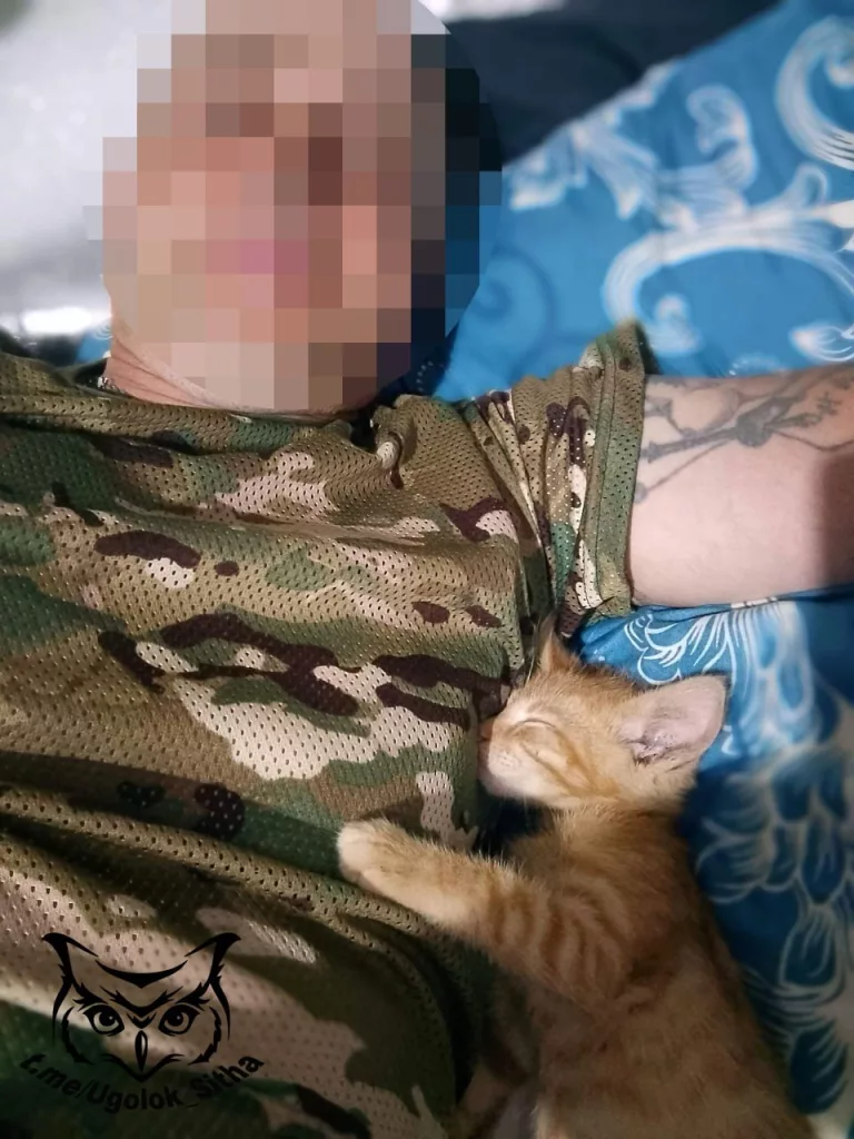 Фронтовые питомцы