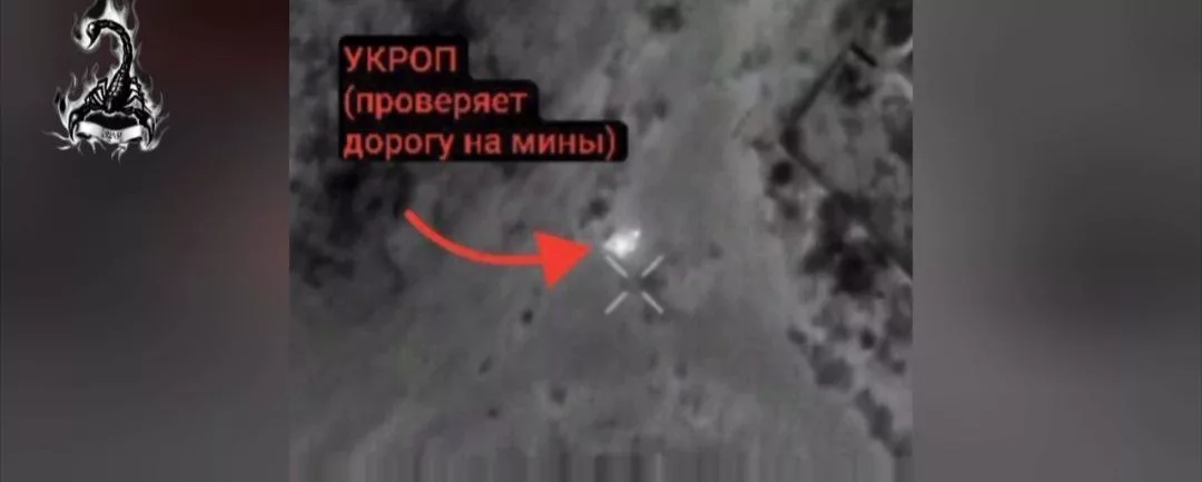 "СКОРПИОНЫ" ликвидируют украинских боевиков в Херсонской области