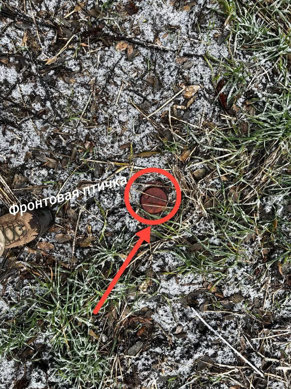 На Курском направлении, как и везде на фронте, нужно быть бдительны и внимательно смотреть под ноги