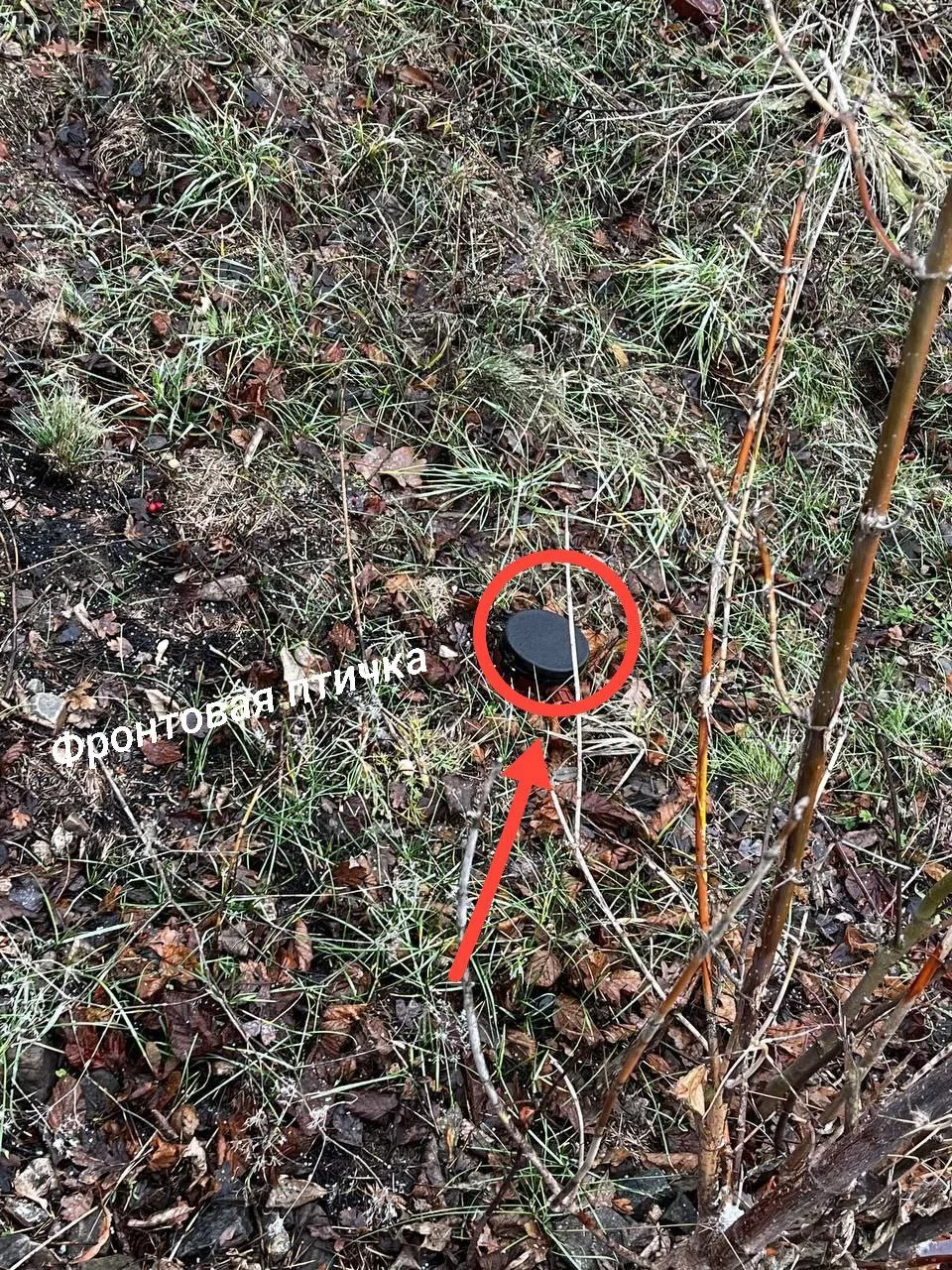 На Курском направлении, как и везде на фронте, нужно быть бдительны и внимательно смотреть под ноги