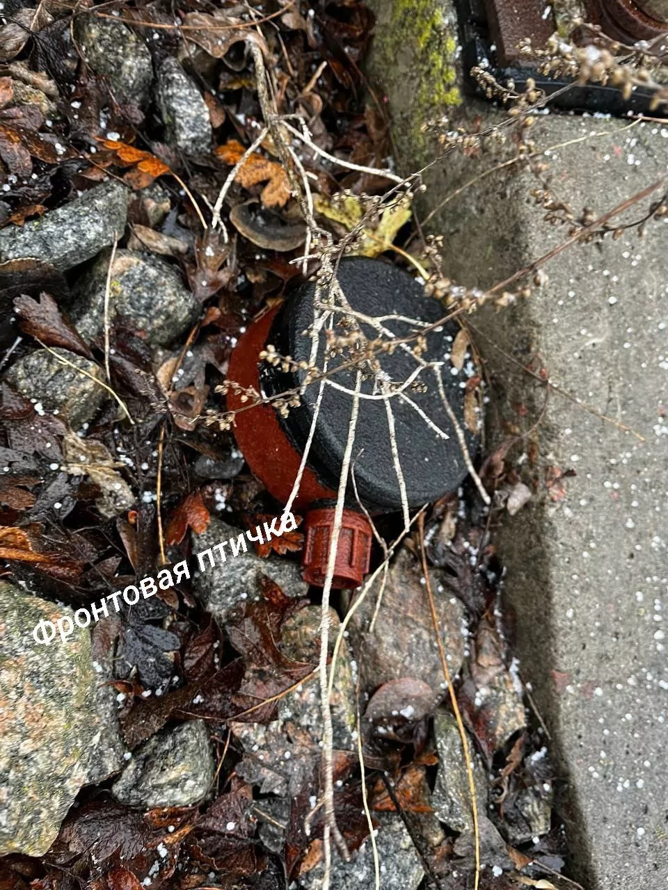 На Курском направлении, как и везде на фронте, нужно быть бдительны и внимательно смотреть под ноги