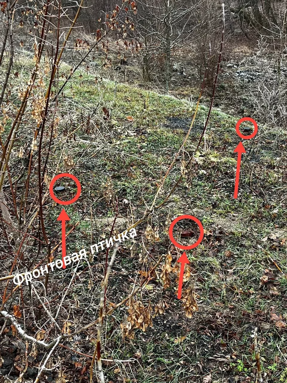 На Курском направлении, как и везде на фронте, нужно быть бдительны и внимательно смотреть под ноги