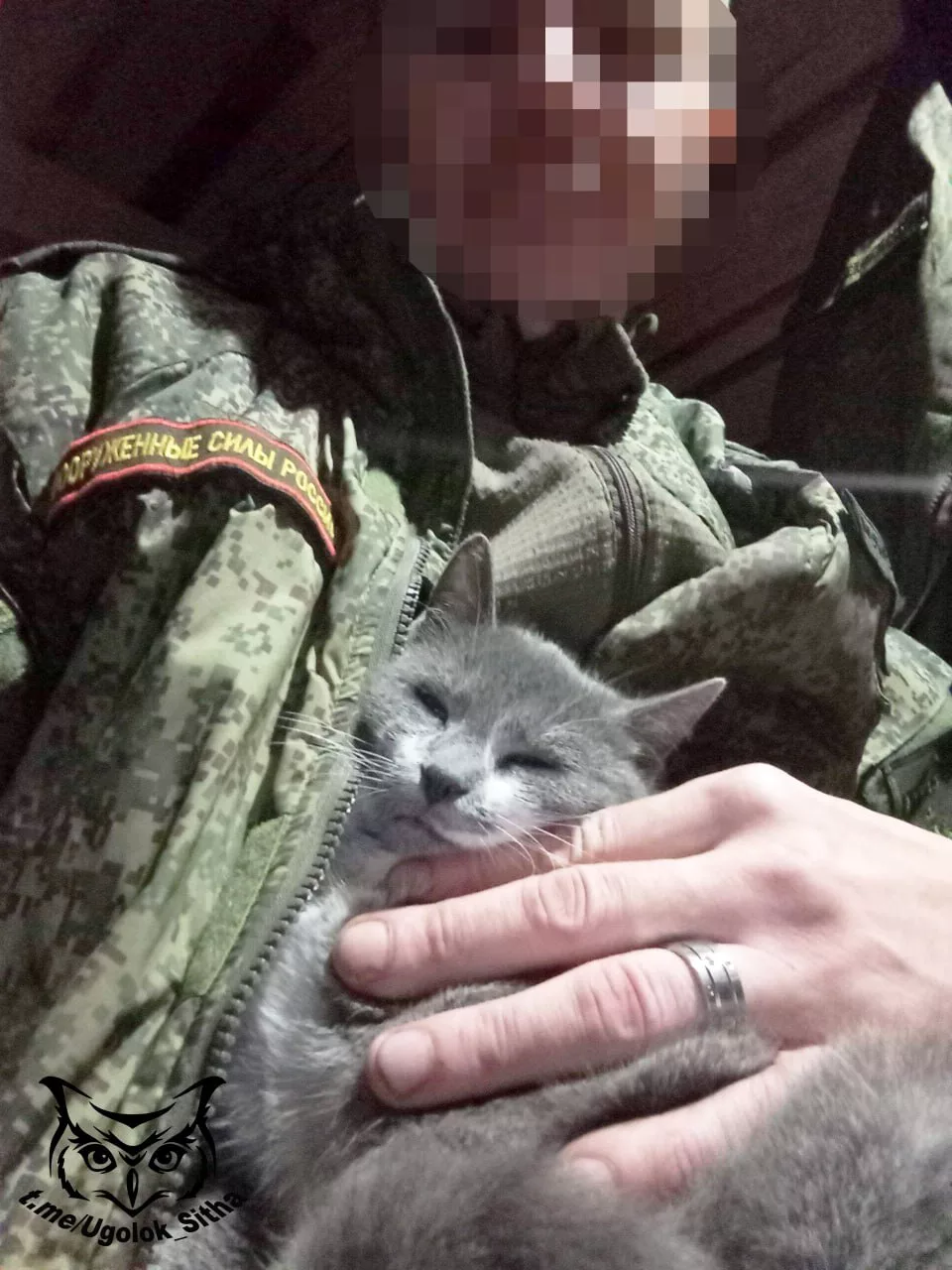 Фронтовые питомцы