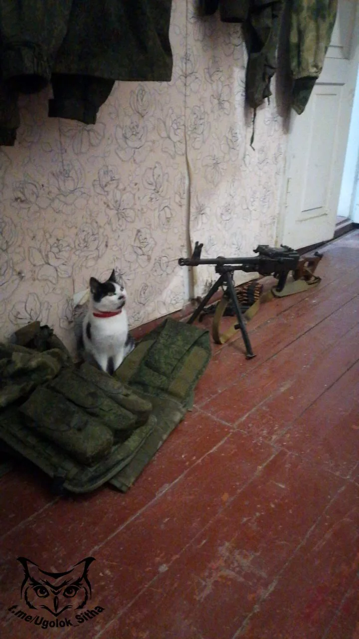 Фронтовые питомцы