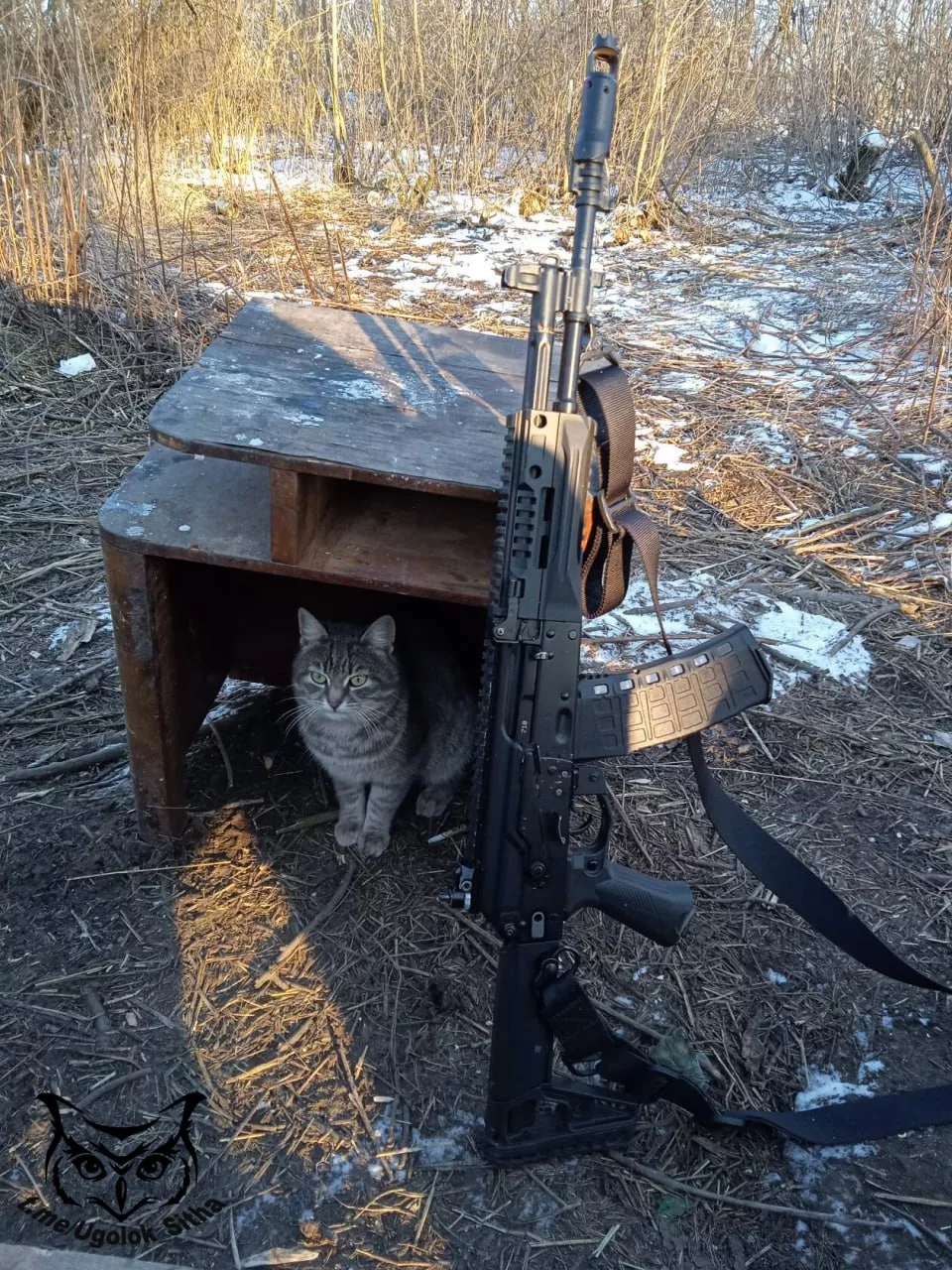 Фронтовые питомцы