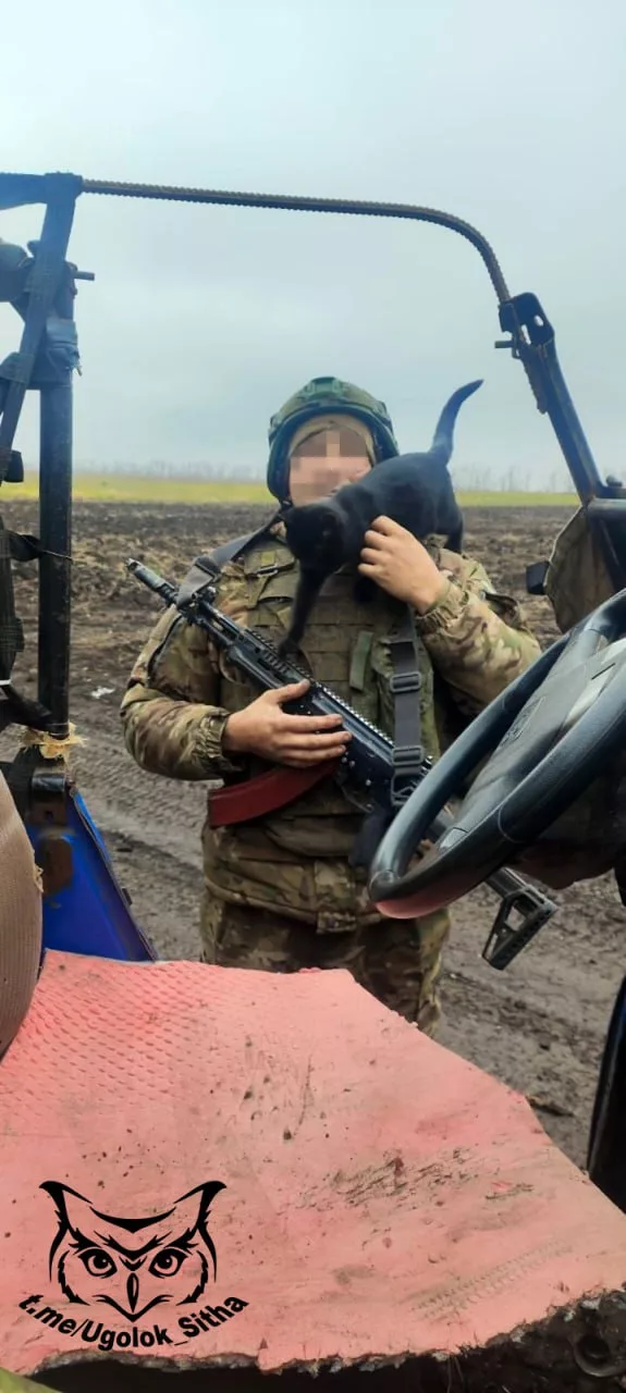 Фронтовые питомцы