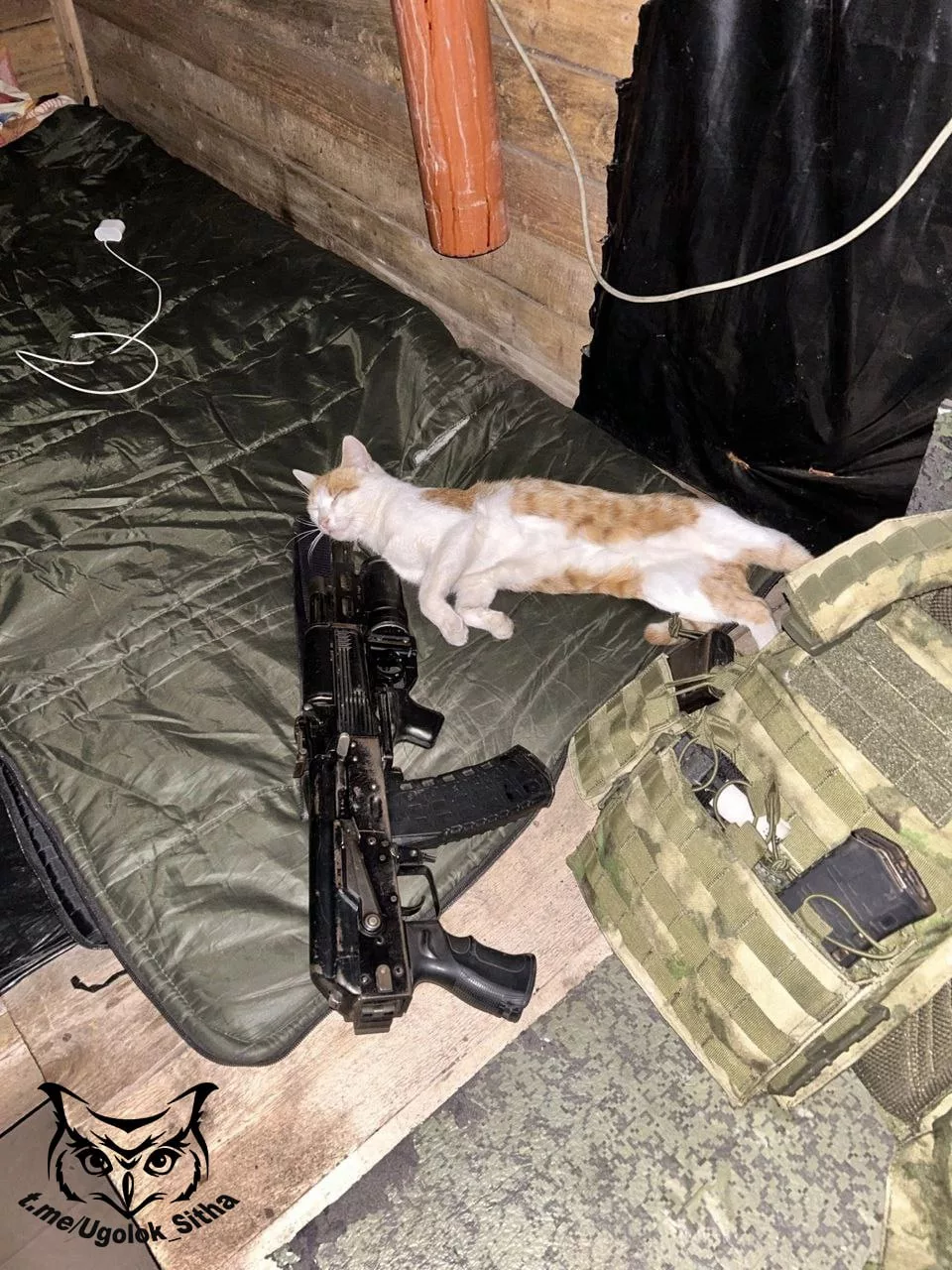 Фронтовые питомцы