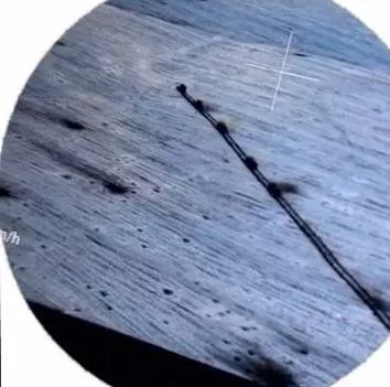 В последние недели новый удар ВСУ в российском приграничье ожидался многими, вопрос был лишь в том, куда именно решит ударить противник