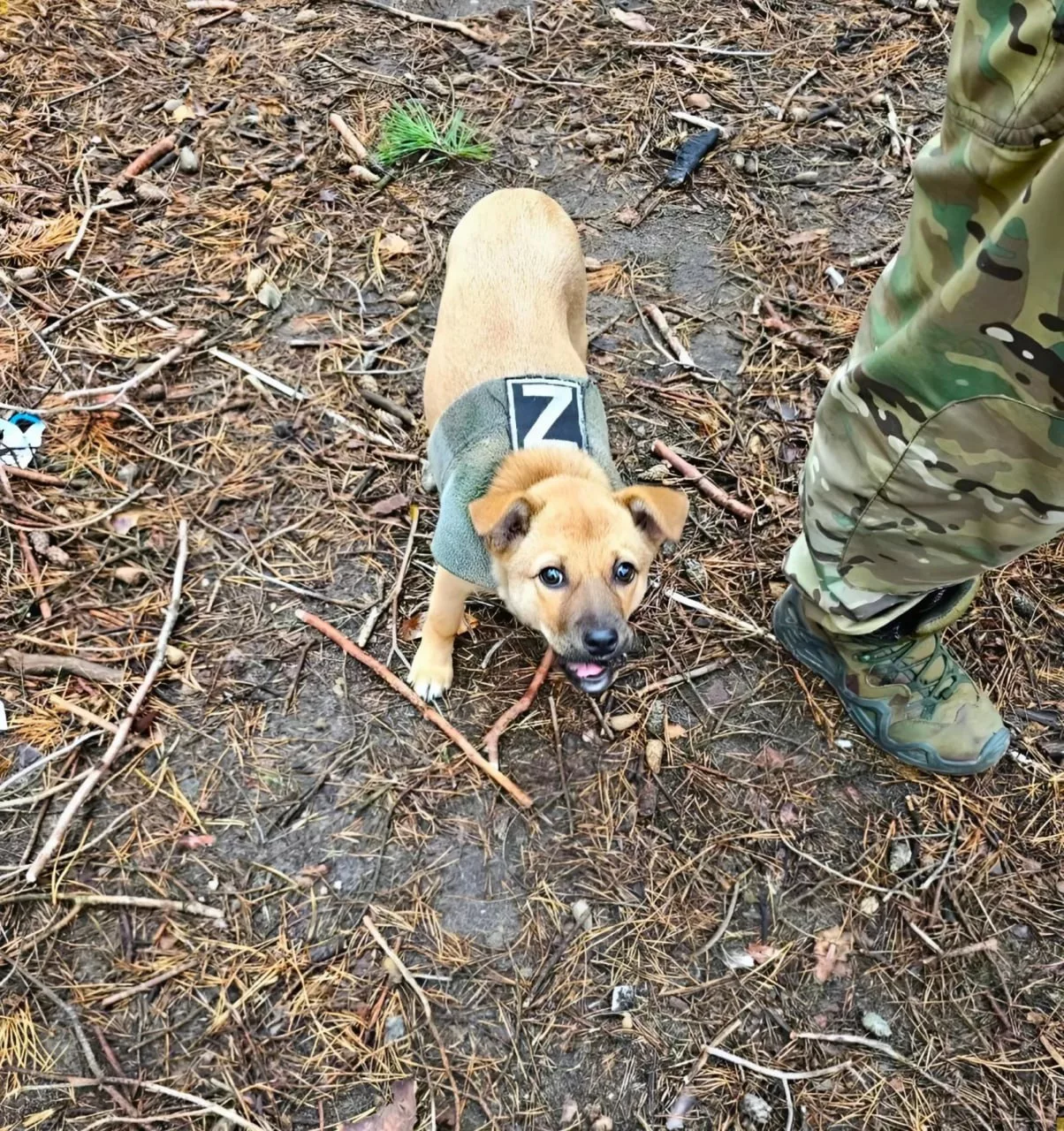 Моменты СВО. Будни фронта