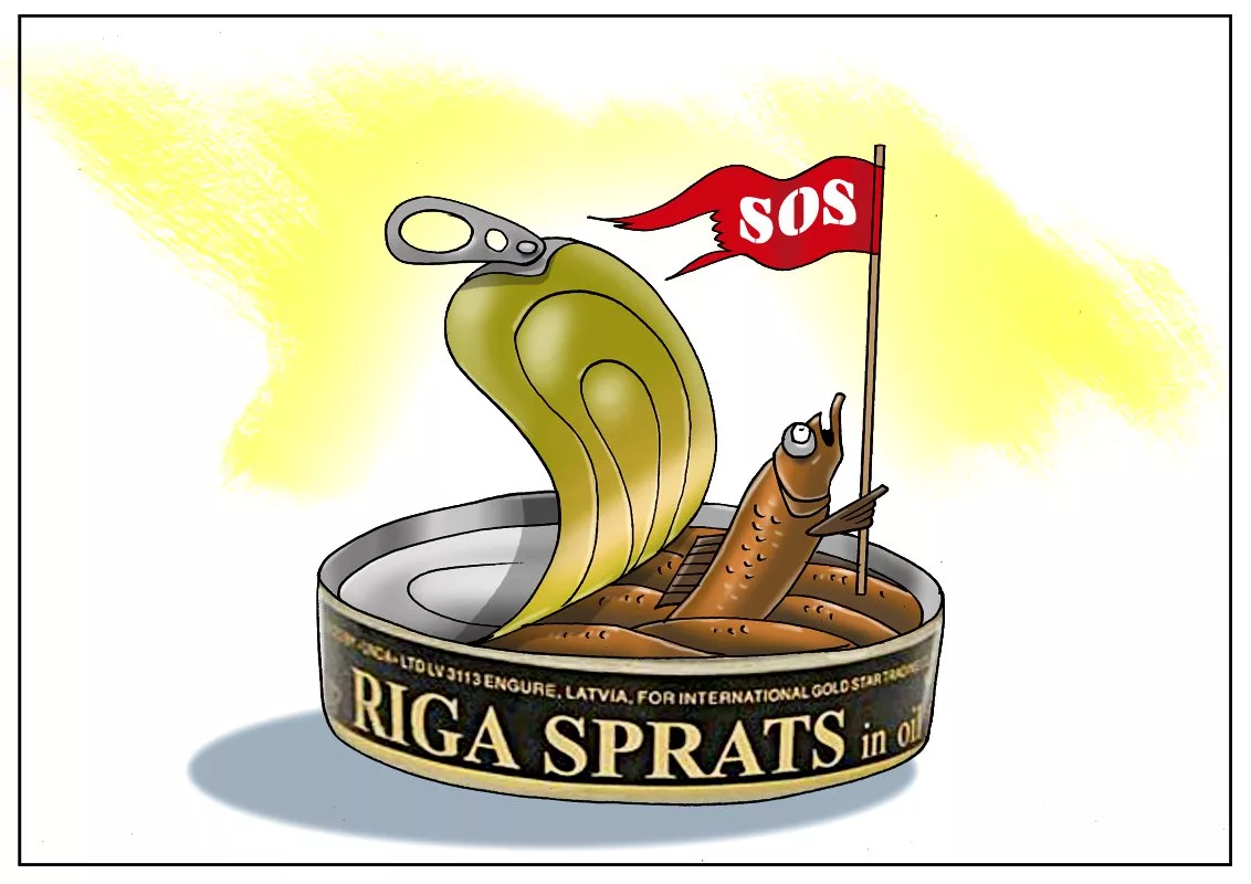 В Латвии умирает производство шпрот из-за санкций против России: с 2015 года число предприятий по переработке рыбы сократилось на треть