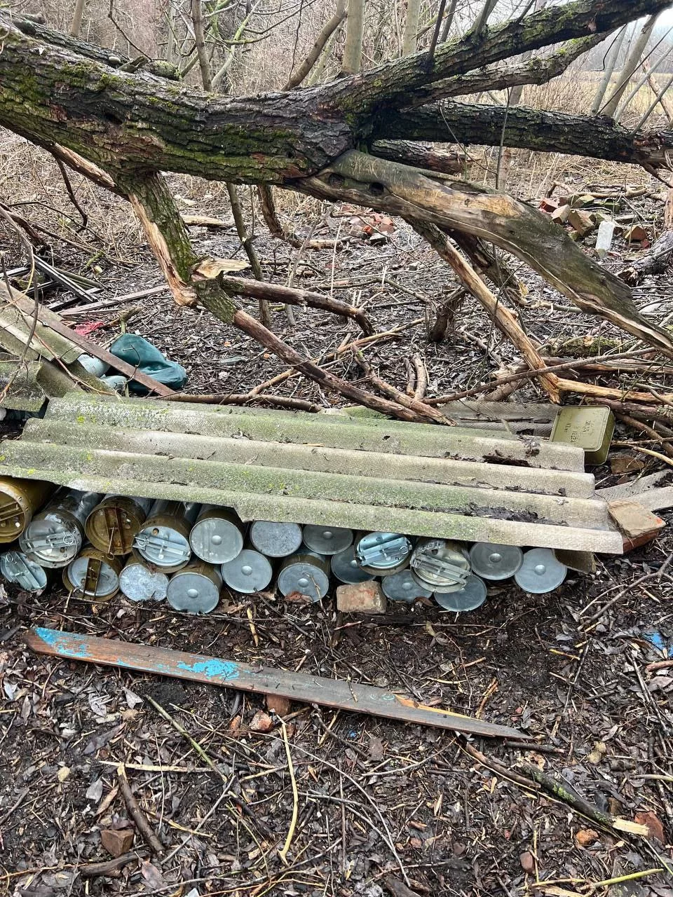 Когда в лесу можно найти не только грибы, а ещё и оставленные кем-то снаряды под шифером. Курская область