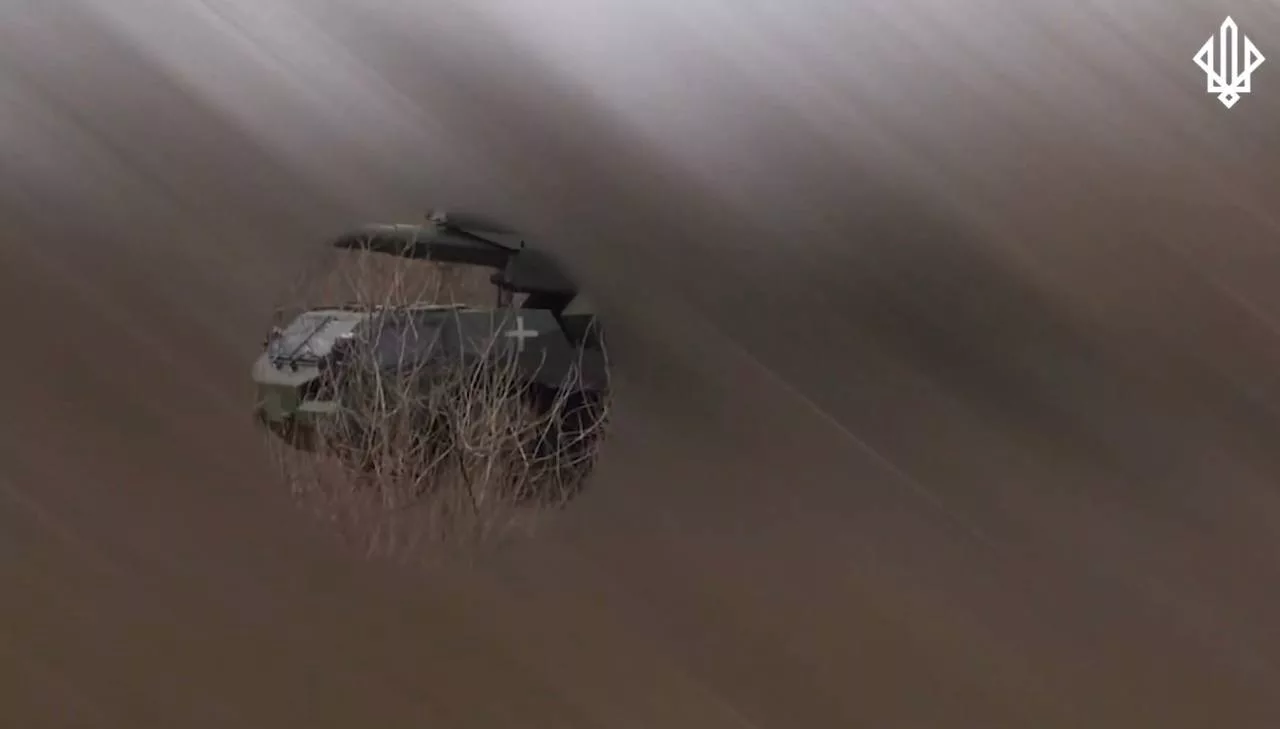 155-мм САУ DITA чешского производства замечена на вооружении ещё одного подразделения – 3-й БрОН «Спартан» НГУ, действующей на Запорожском направлении