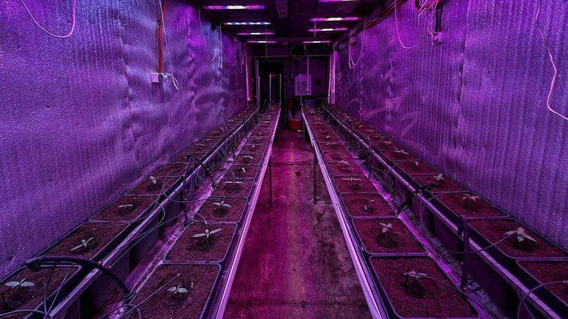 Свердловский чиновник устроил нарколабораторию в железнодорожных контейнерах. Его арестовали в Екатеринбурге