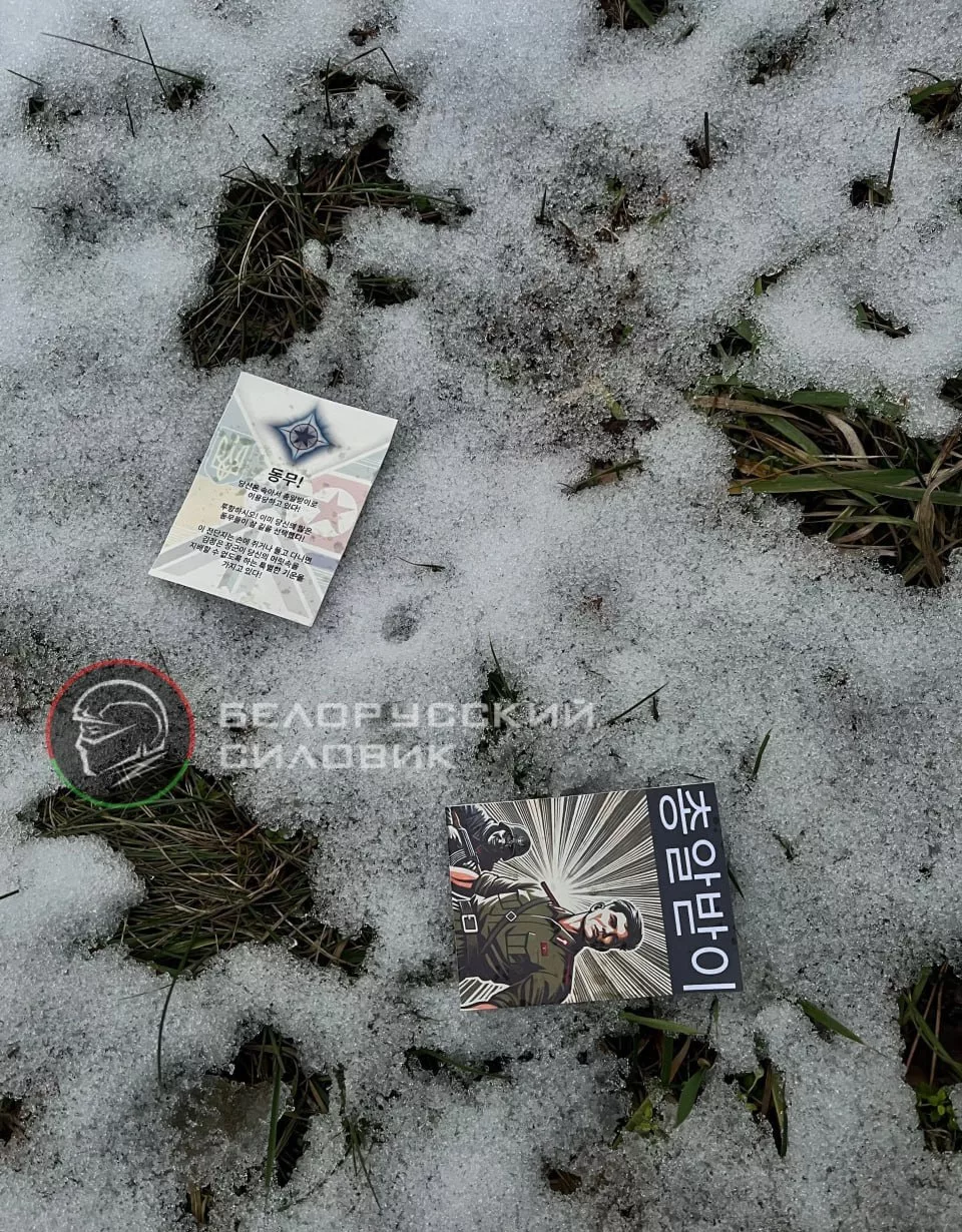 Противник на позиции ВС РФ в Курской области сбрасывает листовки на корейском языке