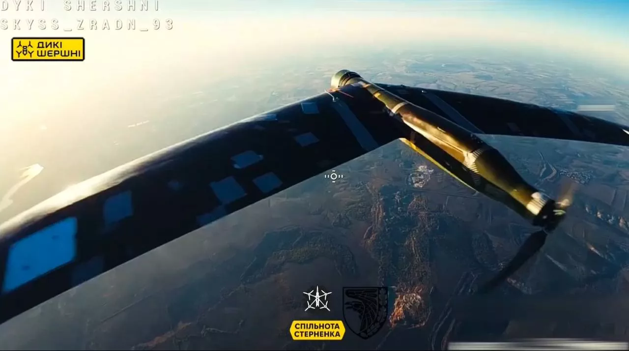 Охота украинских FPV-перехватчиков за российскими разведывательными "крыльями" в последние месяцы приобрела действительно массовый характер