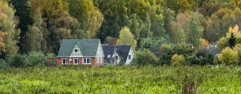 Владельцы заброшенных участков лишатся земли. Изъятую собственность будут передавать ветеранам СВО, малоимущим и многодетным семьям