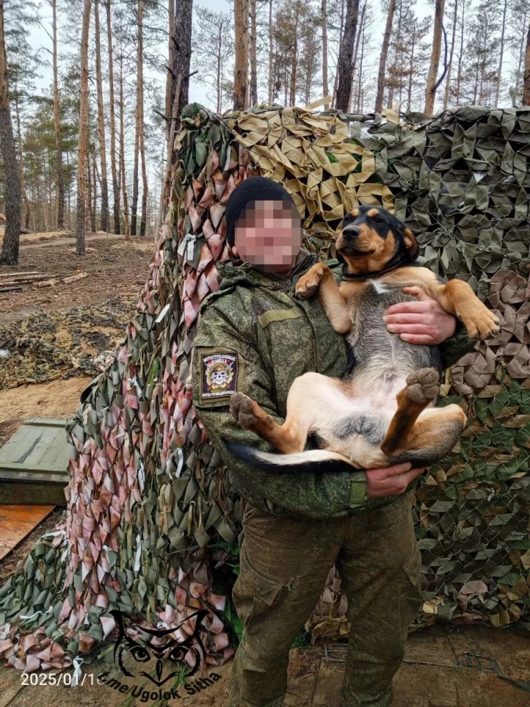 Фронтовые питомцы