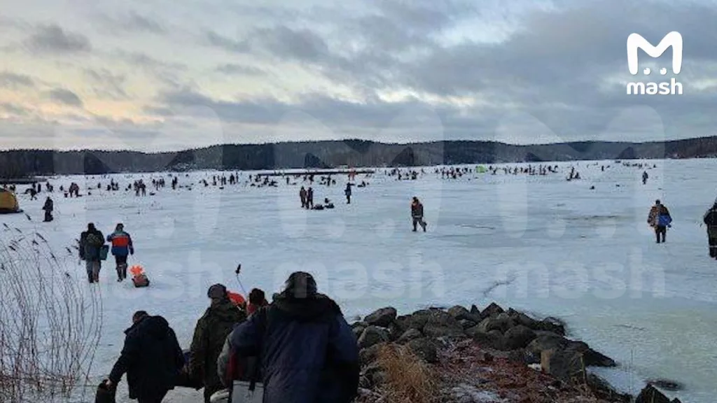 44 тонны форели стоимостью 30 млн рублей сбежало из рыбного хозяйства в Карелии. Следом за братьями из Новгорода