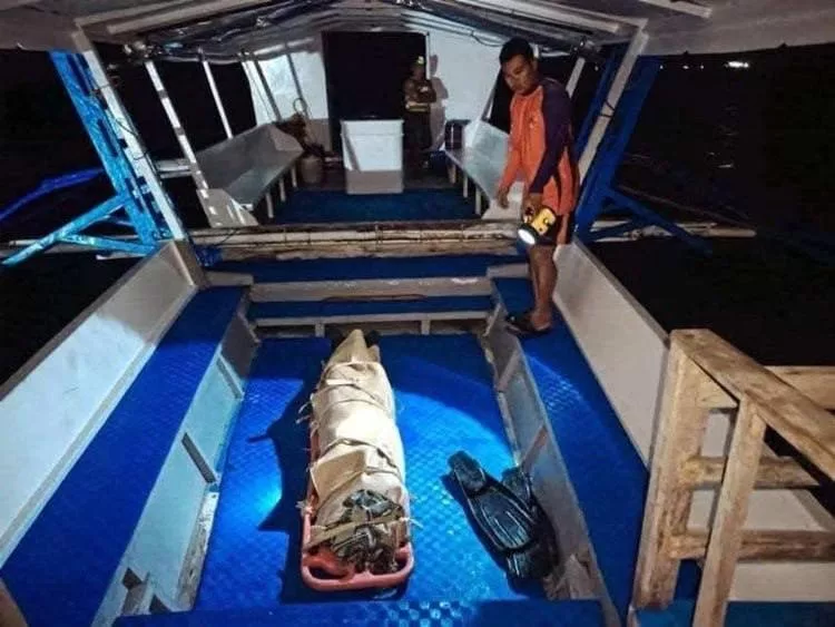 Смерть российских дайверов на Филиппинах не связана с нападением акул. Руку одному из них морской хищник откусил уже после гибели