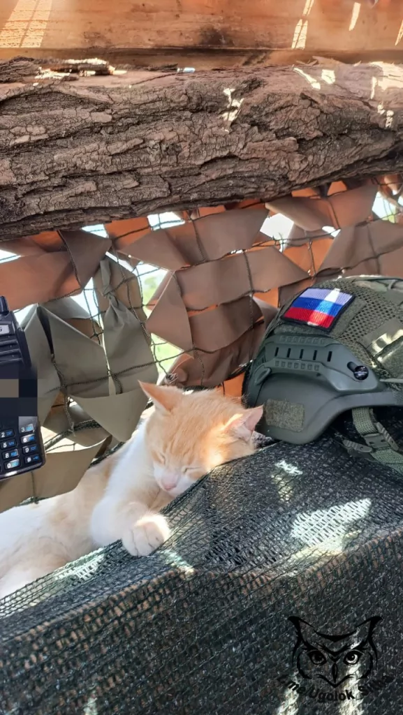 Фронтовые питомцы