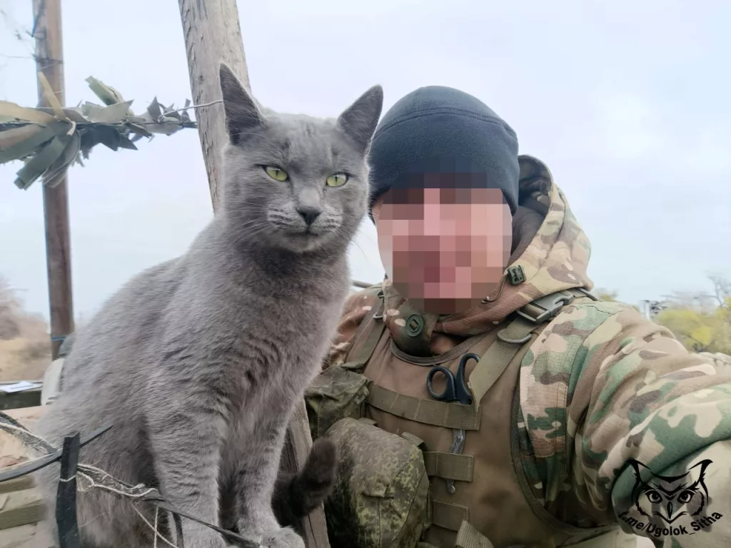 Фронтовые питомцы