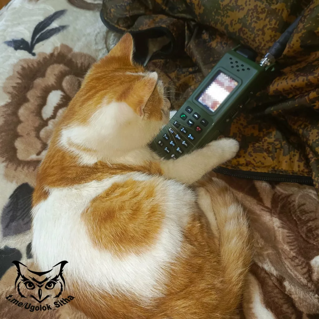 Фронтовые питомцы