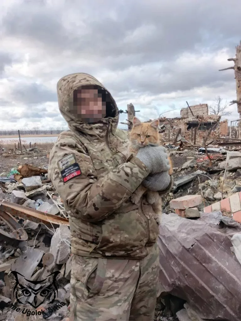 Фронтовые питомцы