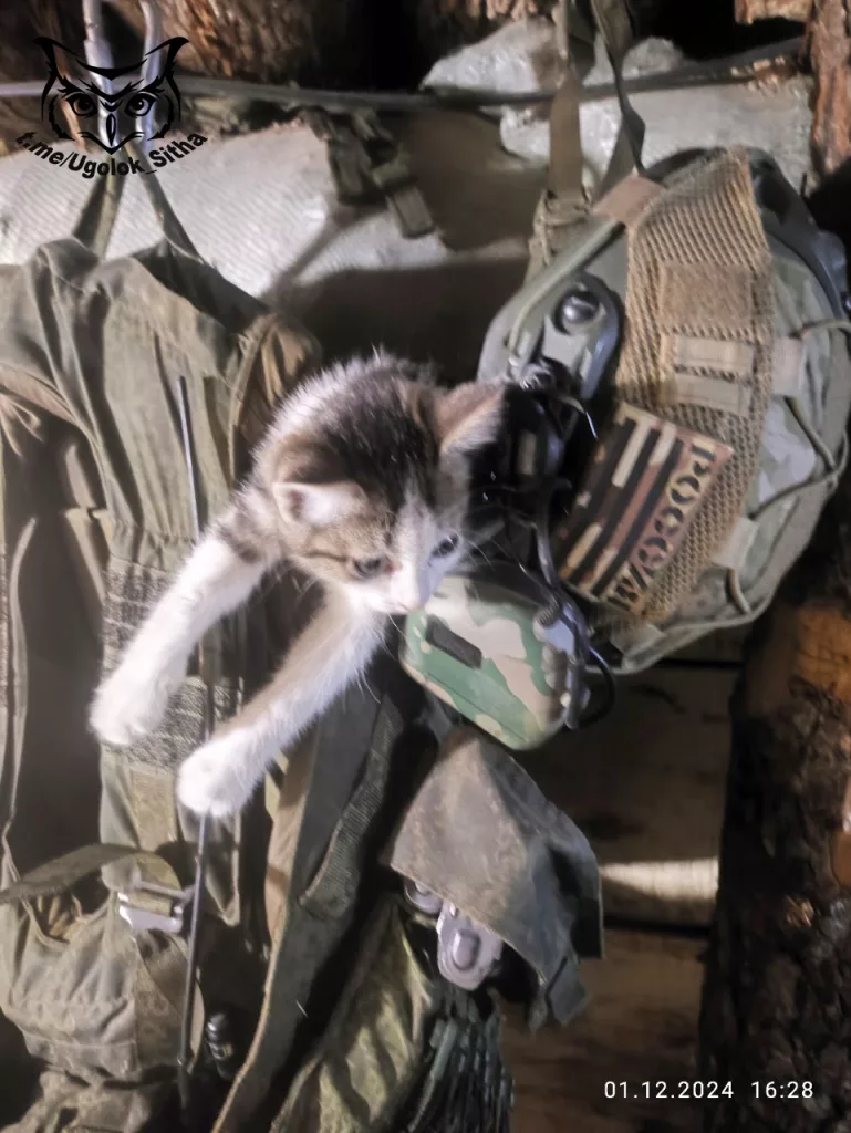 Фронтовые питомцы