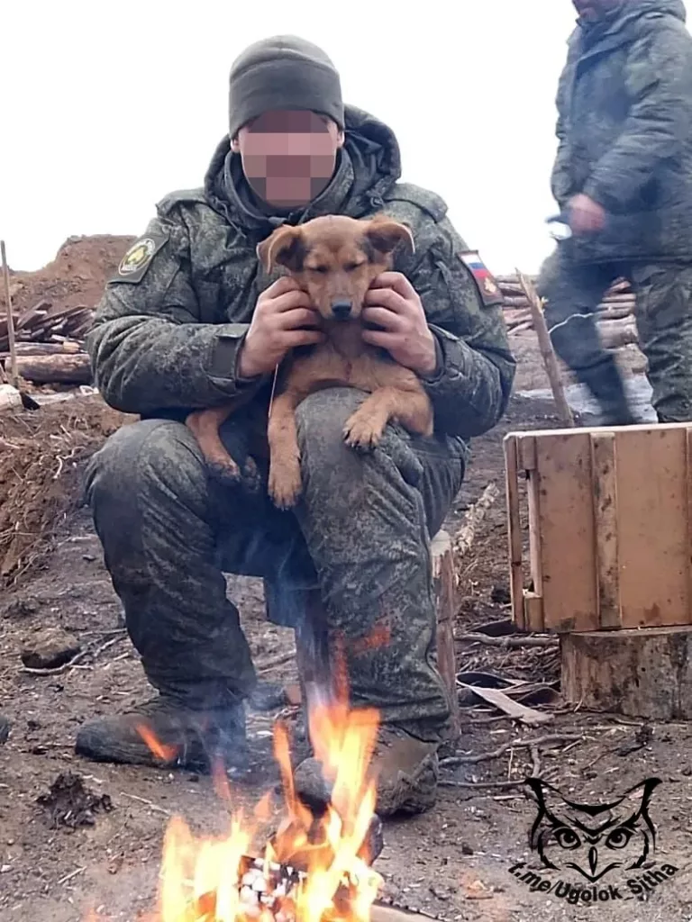 Фронтовые питомцы