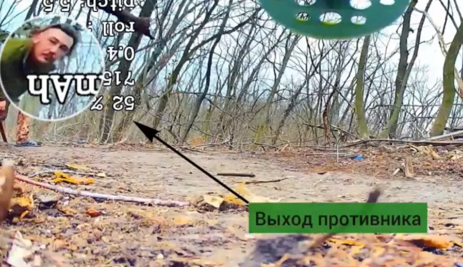 Страшный сон дроновода: выглядываешь - а там «Князь Вандал»