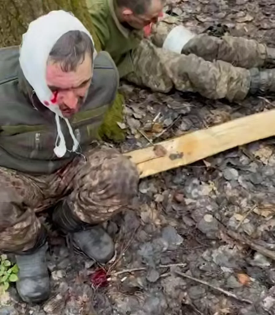 Пленные ВСУшники, взятые сегодня в районе н.п. Махновка Курской области