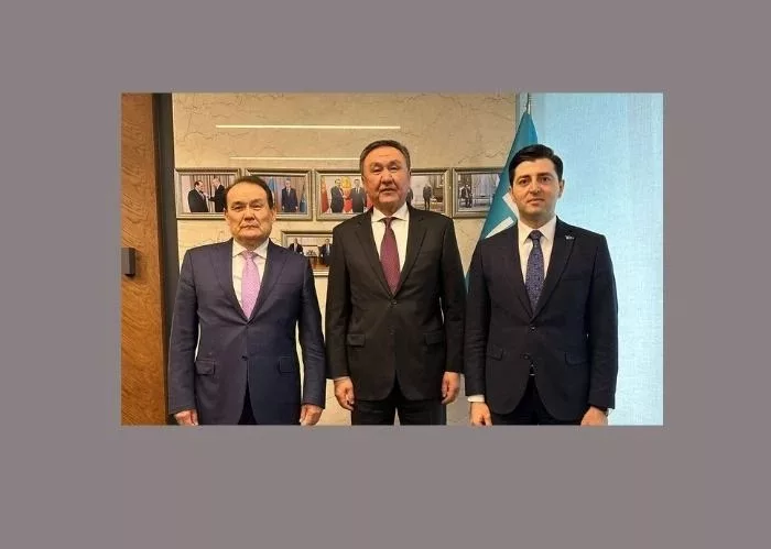 Куда пойдут средства из «кошелька» Организации тюркских государств?