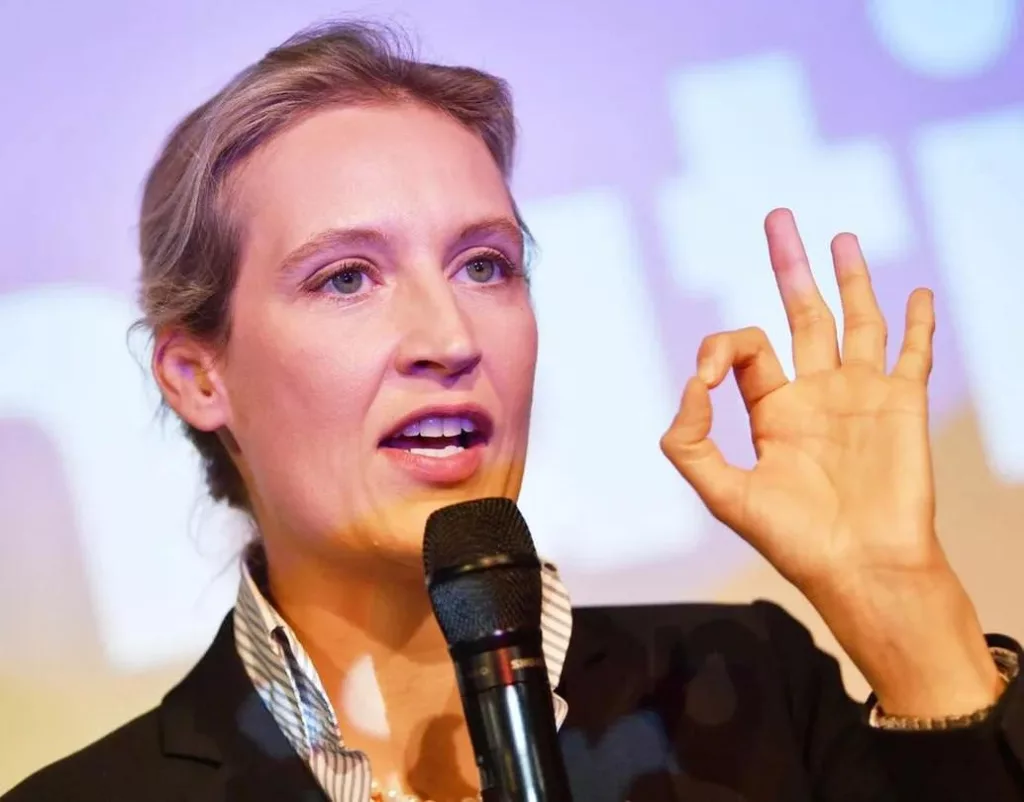 Немецкая партия «Альтернатива для Германии» хочет иметь «очень хорошие отношения» с Россией, заявила кандидат в канцлеры ФРГ Вайдель